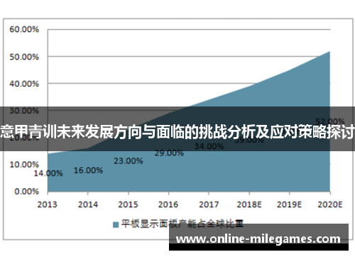 意甲青训未来发展方向与面临的挑战分析及应对策略探讨